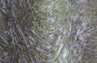 Nether Kellet fibreglass roof work